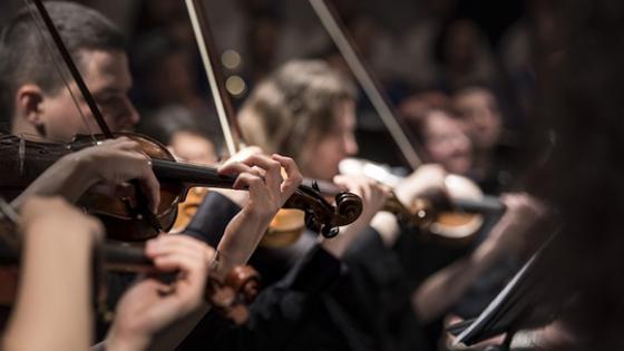 people playing violins