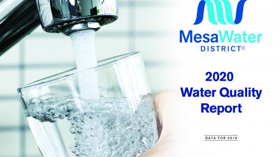 water quality report