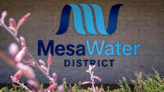 mesa water logo