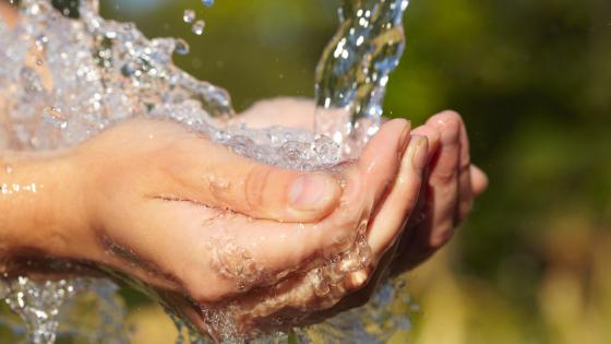 hands in water