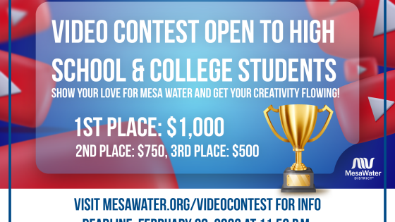video contest thumbnail