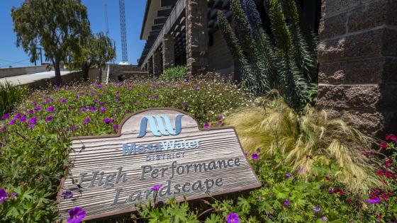 mesa wood sign in grass