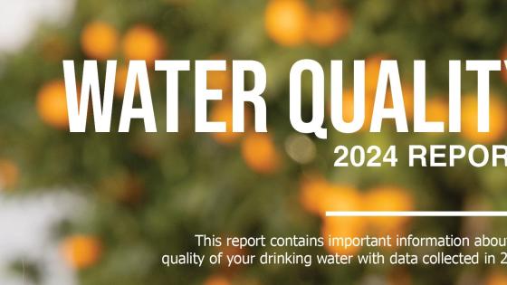 Water Quality Report