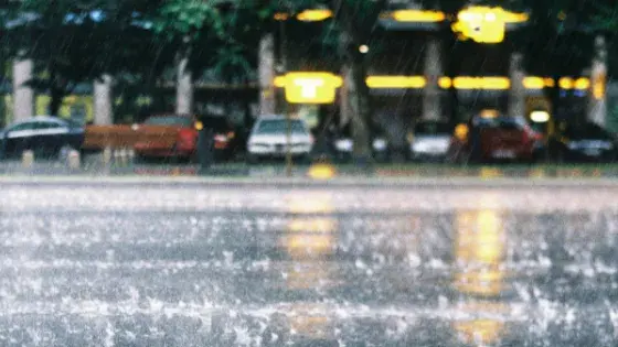 rain