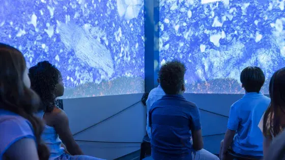 Image shows children sitting in a blue room.