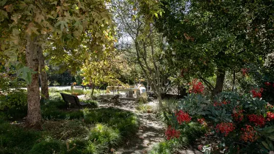 Image contains; a rose bush up front in the right corner, along with grass and tress throughout.
